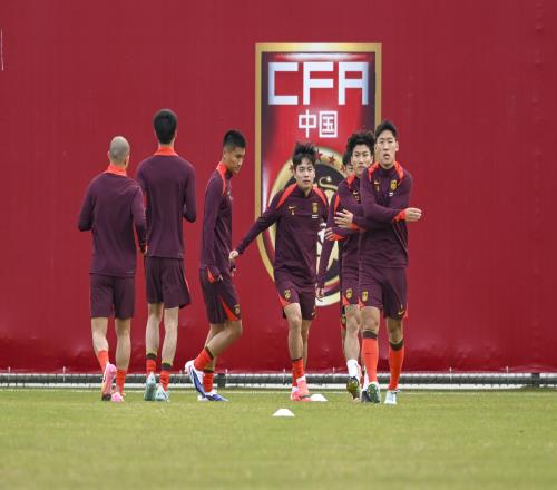 大乐透期号,专家精准推,质合分析前,新葡京,新葡京app,新葡京娱乐,新普京赌场