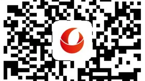 成都大学揭露曾某学术著作抄袭事件：深度解析与避雷指南